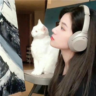 我的完美秘书